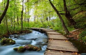 Sonido de Río para RELAJARSE y DORMIR