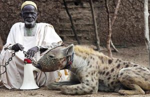 LAS MASCOTAS MÁS ESPELUZNANTES DEL MUNDO