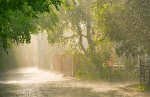 Lluvia para DORMIR en 1 minuto- Sonido de LLUVIA para DORMIR y ESTUDIAR