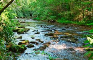 Sonido de río RELAJANTE para DORMIR y ESTUDIAR- Sonido de mar para relajarse en HD/4K
