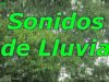 Sonido de Lluvia Suave para Dormir y Pensar Estudiar 10 Horas