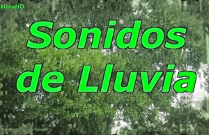 Sonido de Lluvia Suave para Dormir y Pensar Estudiar 10 Horas