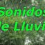 Sonido de Lluvia Suave para Dormir y Pensar Estudiar 10 Horas