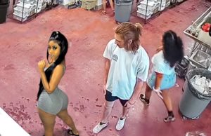 Increíbles Momentos Captados por las Cámaras