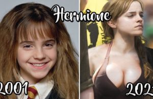 ASÍ LUCEN LOS ACTORES DE HARRY POTTER