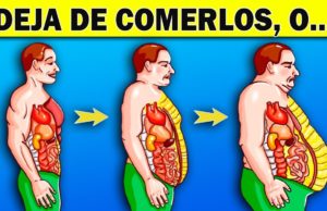 😱 10 + 1 alimentos que 𝗗𝗘𝗕𝗘𝗦 𝗗𝗘𝗝𝗔𝗥 𝗗𝗘 𝗖𝗢𝗠𝗘𝗥 para PERDER GRASA ⛔ o NUNCA LO LOGRARÁS ⛔