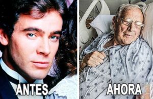 Así Lucen Los Actores de Rosa salvaje 1987 Hoy en Día