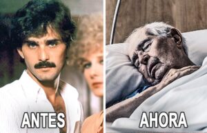 Así Lucen Los Actores de De pura sangre 1985 Hoy en Día