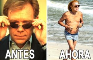 Así Lucen Los Actores de CSI Miami Hoy en Día