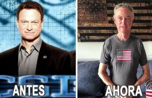 Así Lucen Los Actores de CSI Nueva York 2004 Hoy en Día