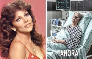 Así Lucen Los Actores de Rosa salvaje 1987 Hoy en Día