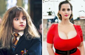 Asi lucen los Actores de Harry Potter en 2022 – Antes y Despues